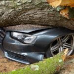 Замена масла в коробке передач Toyota в Санкт-Петербурге image_1100.jpg